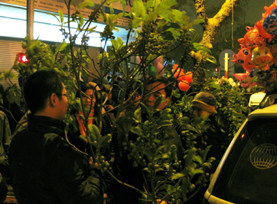 Picking buds custom on the Lunar New Year Eva